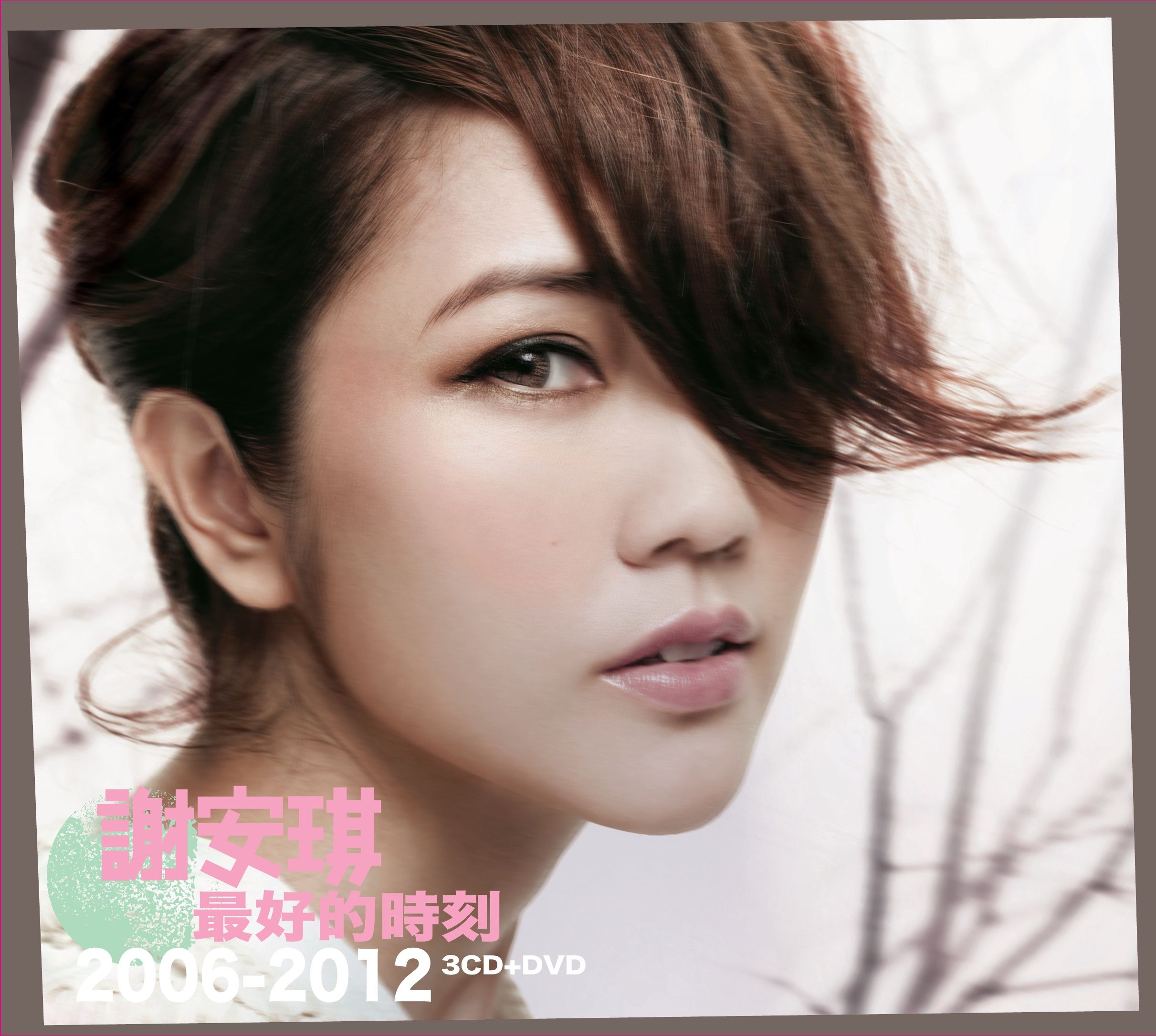 *謝安琪*最好的時刻*3CD+DVD* 謝安琪. 最好的時刻(3CD+DVD)