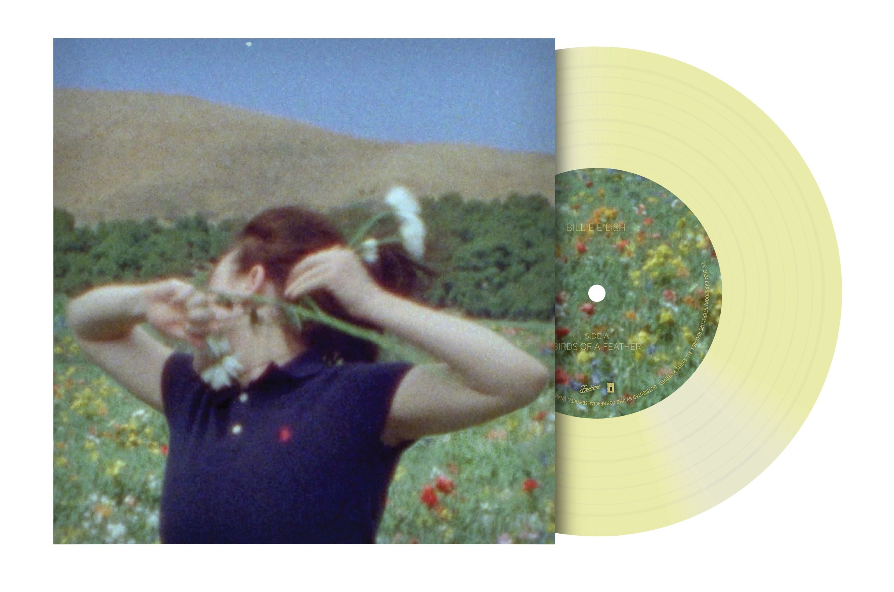 BIRDS OF A FEATHER 7” VINYL (TRANSLUCENT GREEN) (UShop獨家銷售)