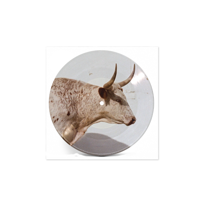 Middle of Nowhere - Store Exclusive Horny Picture Disc Vinyl