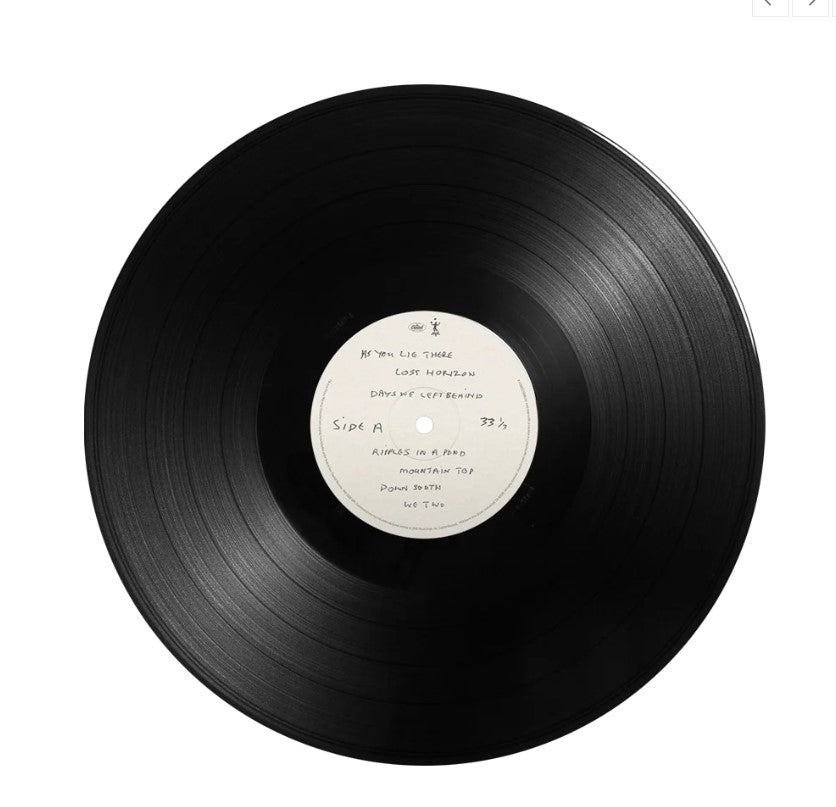 The Boys Of Dungeon Lane - LP