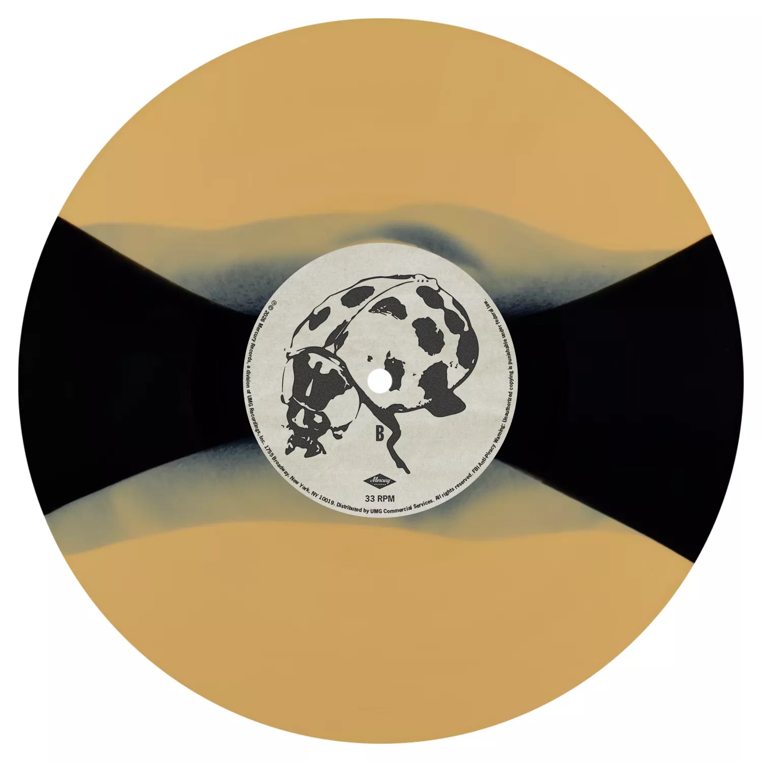 The Great Divide Headlights In The Dark Vinyl