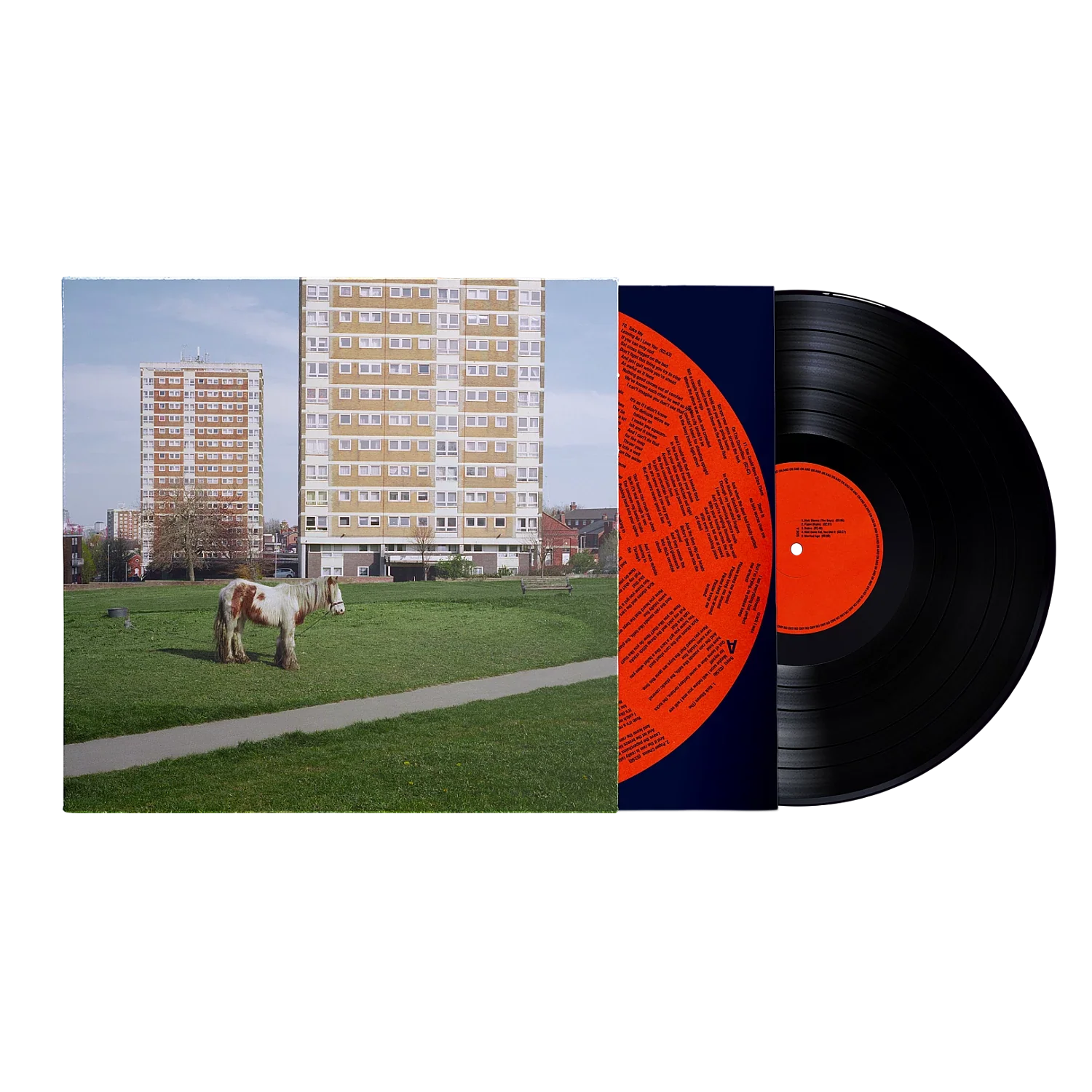 It Goes On (LP)
