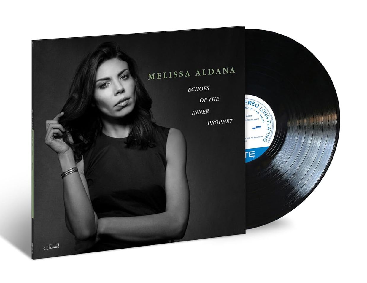 Echoes of the Inner Prophet (Vinyl)