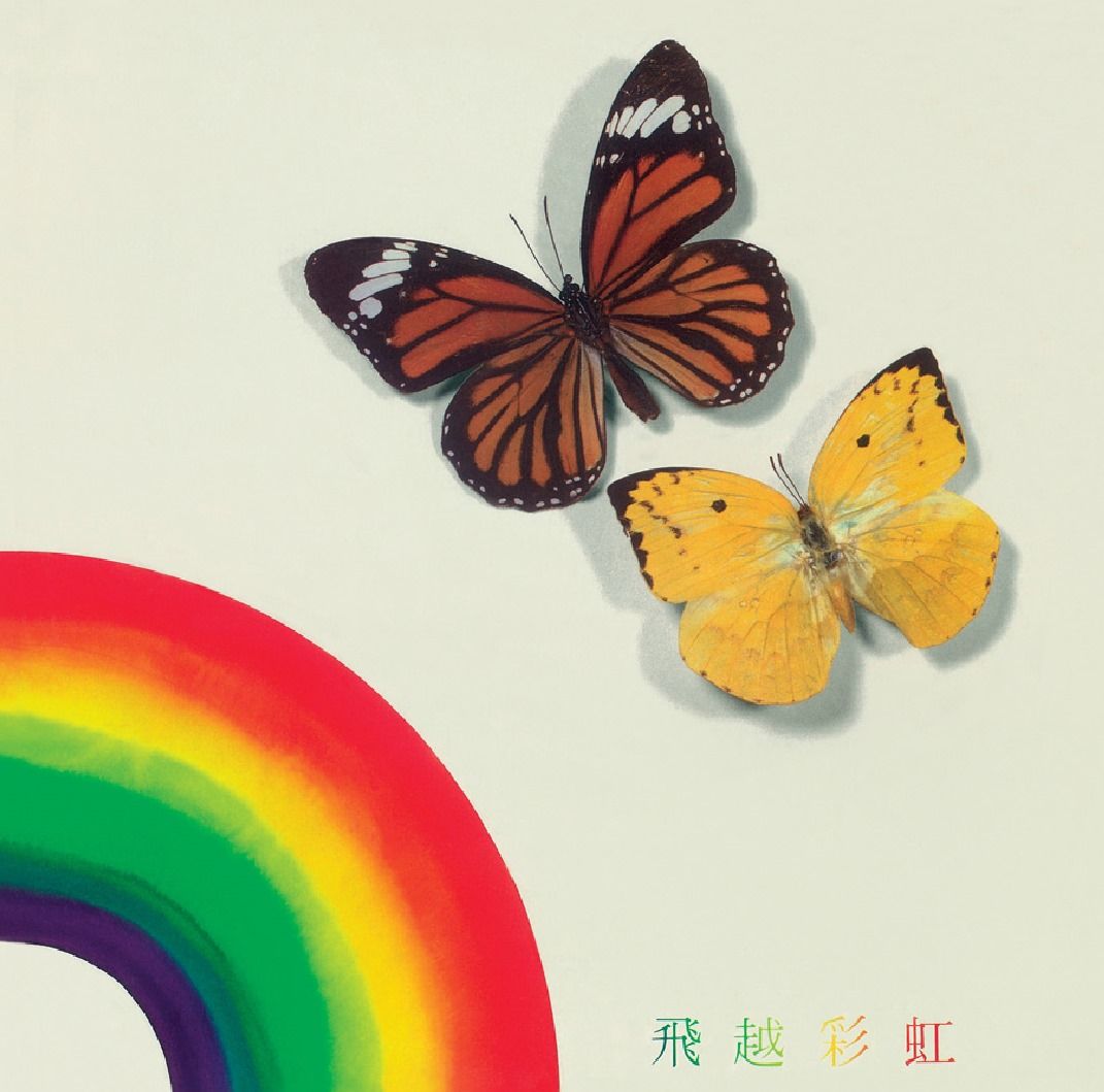 不再流淚 (復黑王)