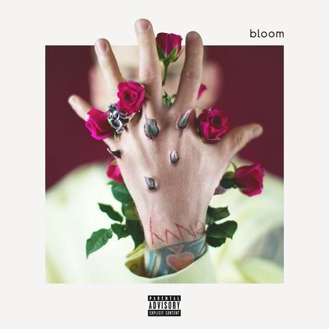 Bloom (Machine Gun Kelly Album)