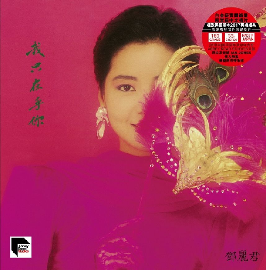 我只在乎你 (ARS Vinyl)