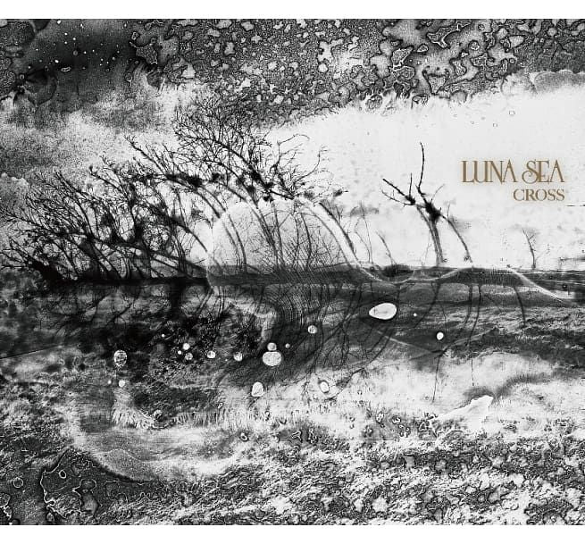 Cross (台灣進口初回盤 CD+DVD)