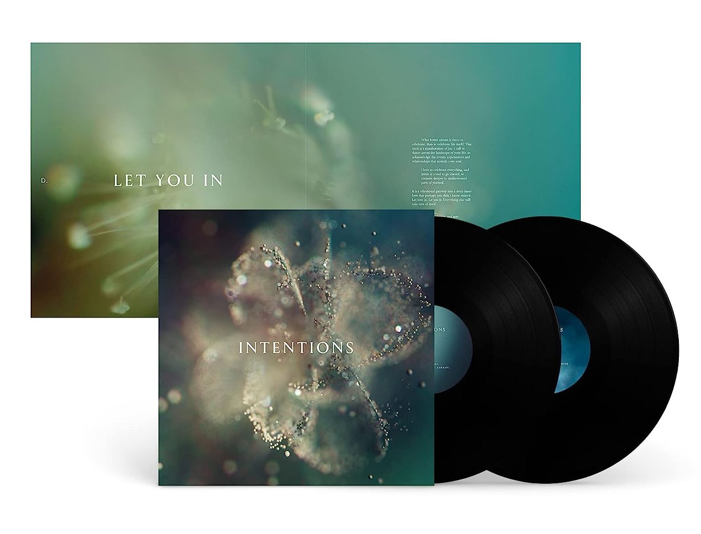 Intentions (2x Vinyl)