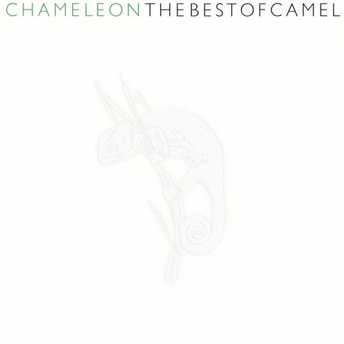 Chameleon The Best Of Camel (MQA/UHQCD) (日本進口版)