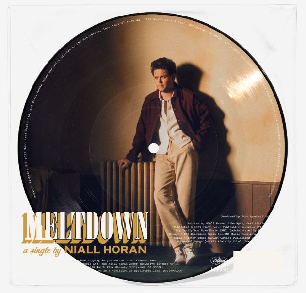 Meltdown (7" Picture Vinyl Single)