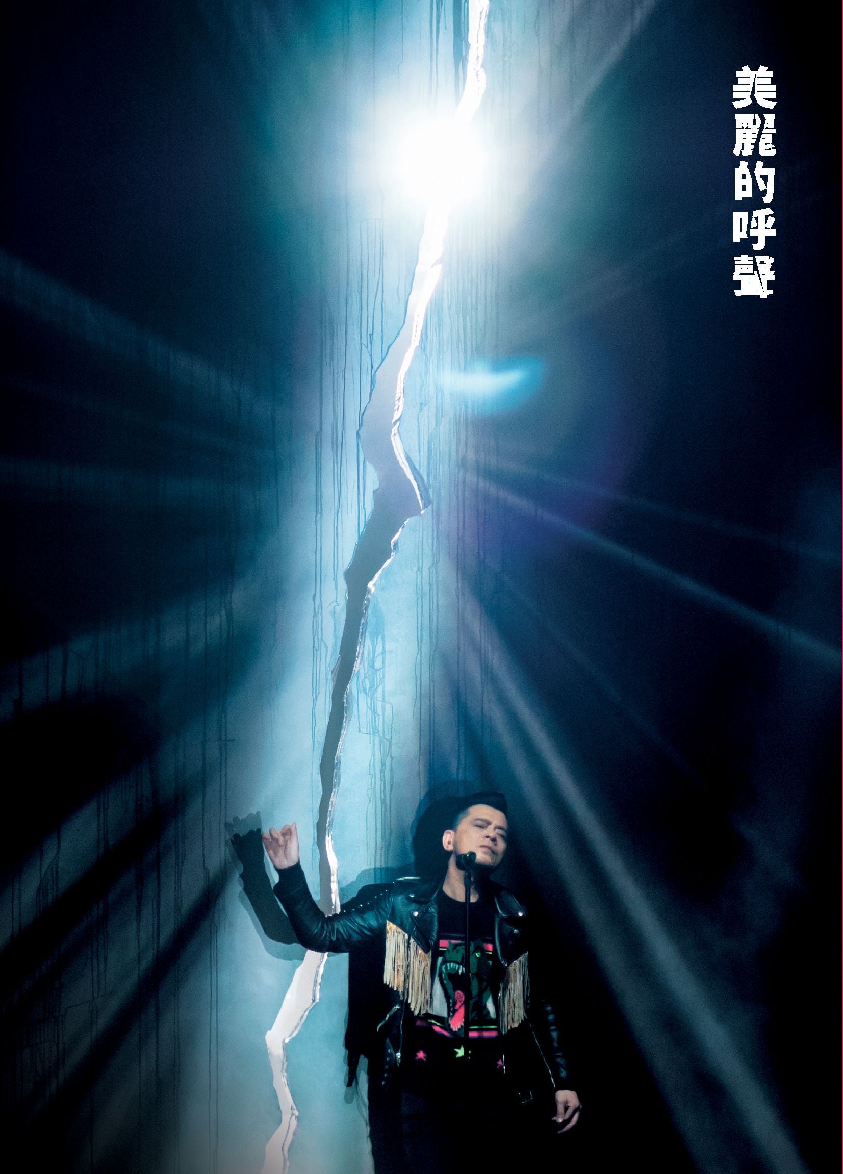 美麗的呼聲聽證會 (2CD + 2DVD)