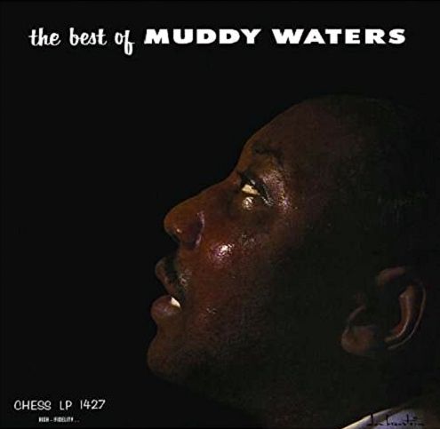 The Best Of Muddy Waters (LP)