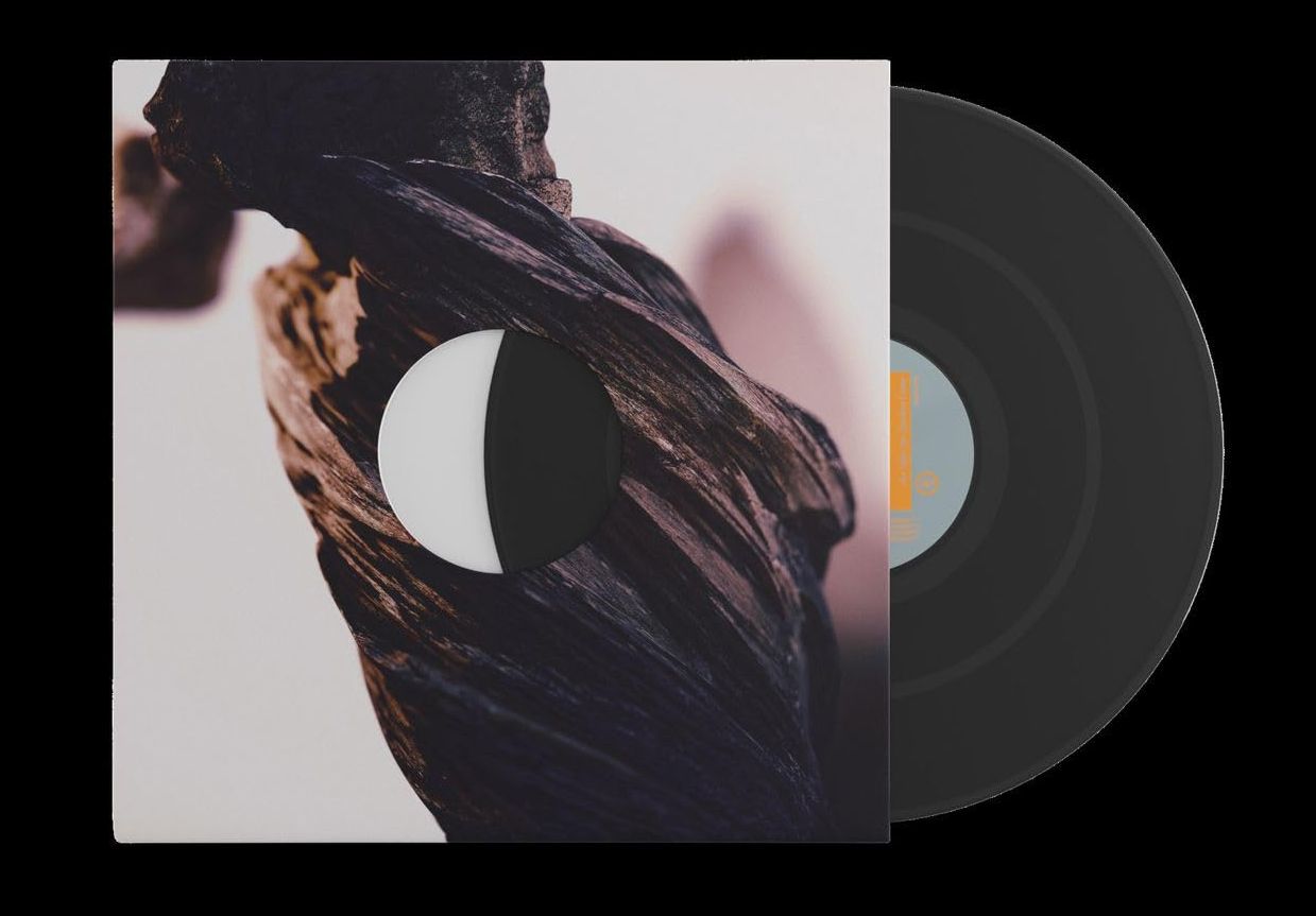 The Night the Zombies Came (Vinyl)