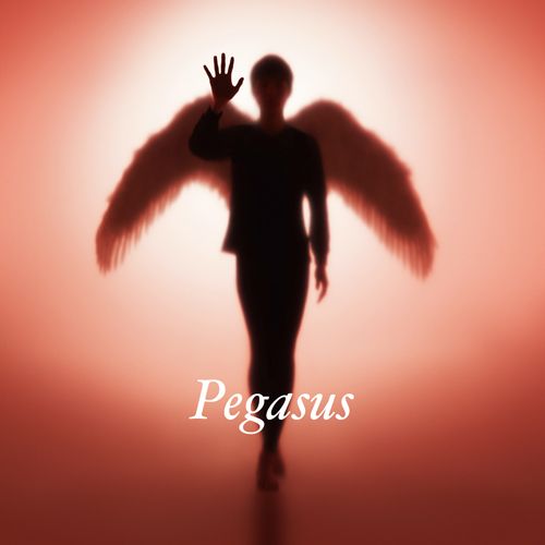Pegasus (3CD) [日本進口初回生産限定盤]
