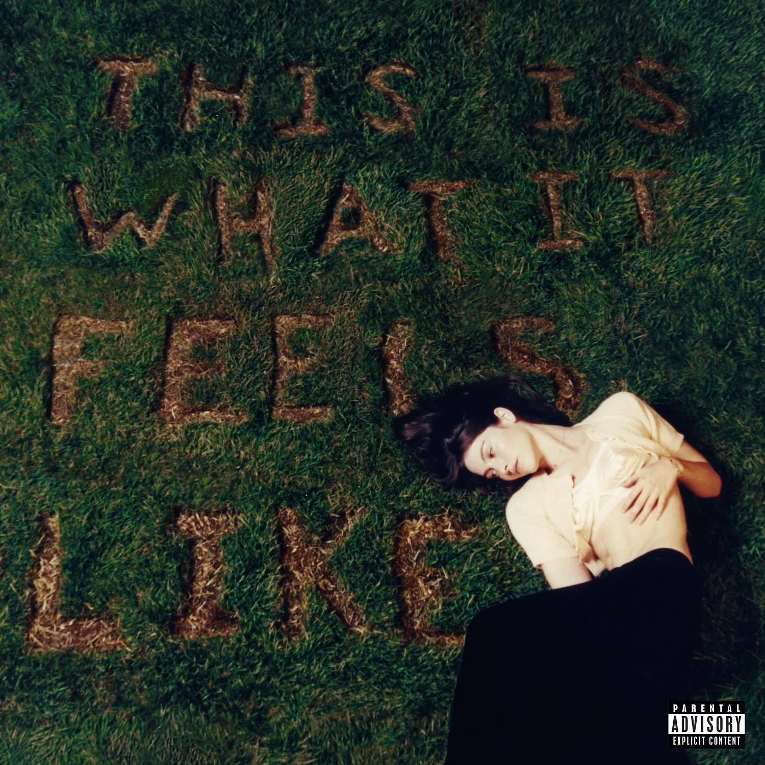 That is What It Feels Like – Vinyl