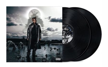 Fighting Demons (2x Vinyl)