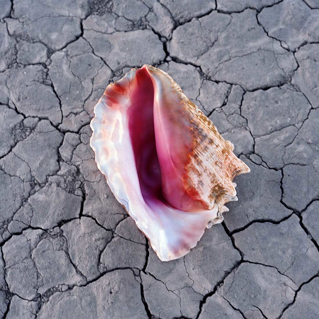 Wonderful Wonderful (CD Deluxe)