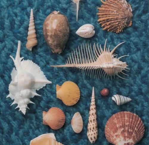 CYCLE HIT 1991～1997 Spitz Complete Single Collection