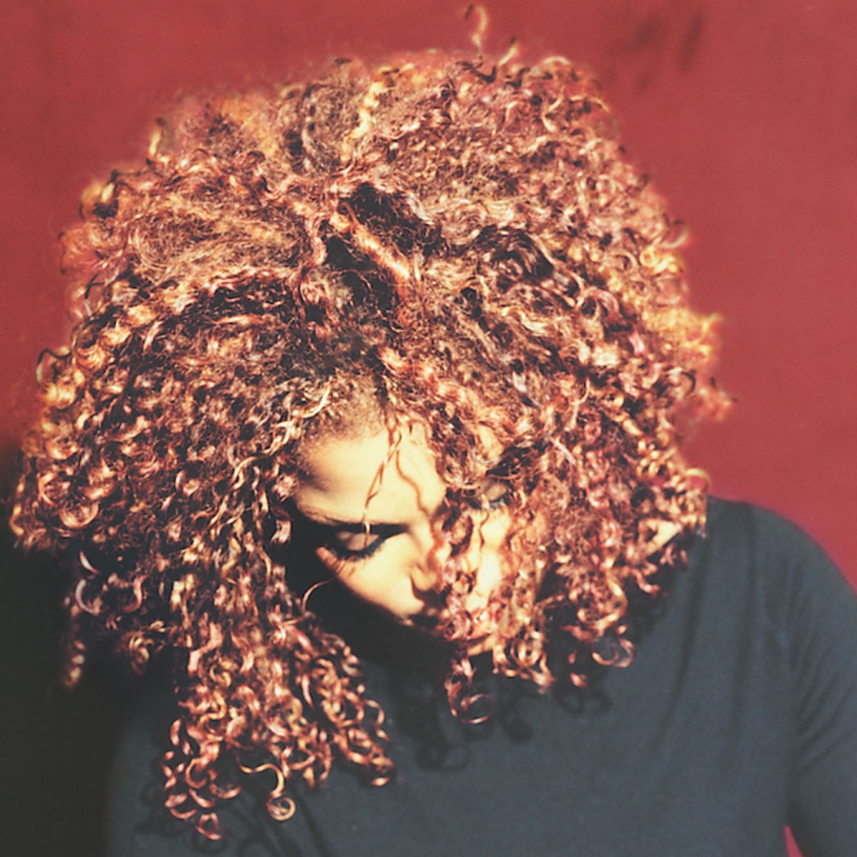 The Velvet Rope (2x Vinyl)