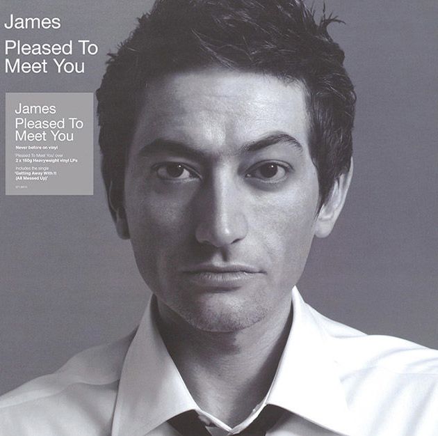 Pleased To Meet You (2LP)