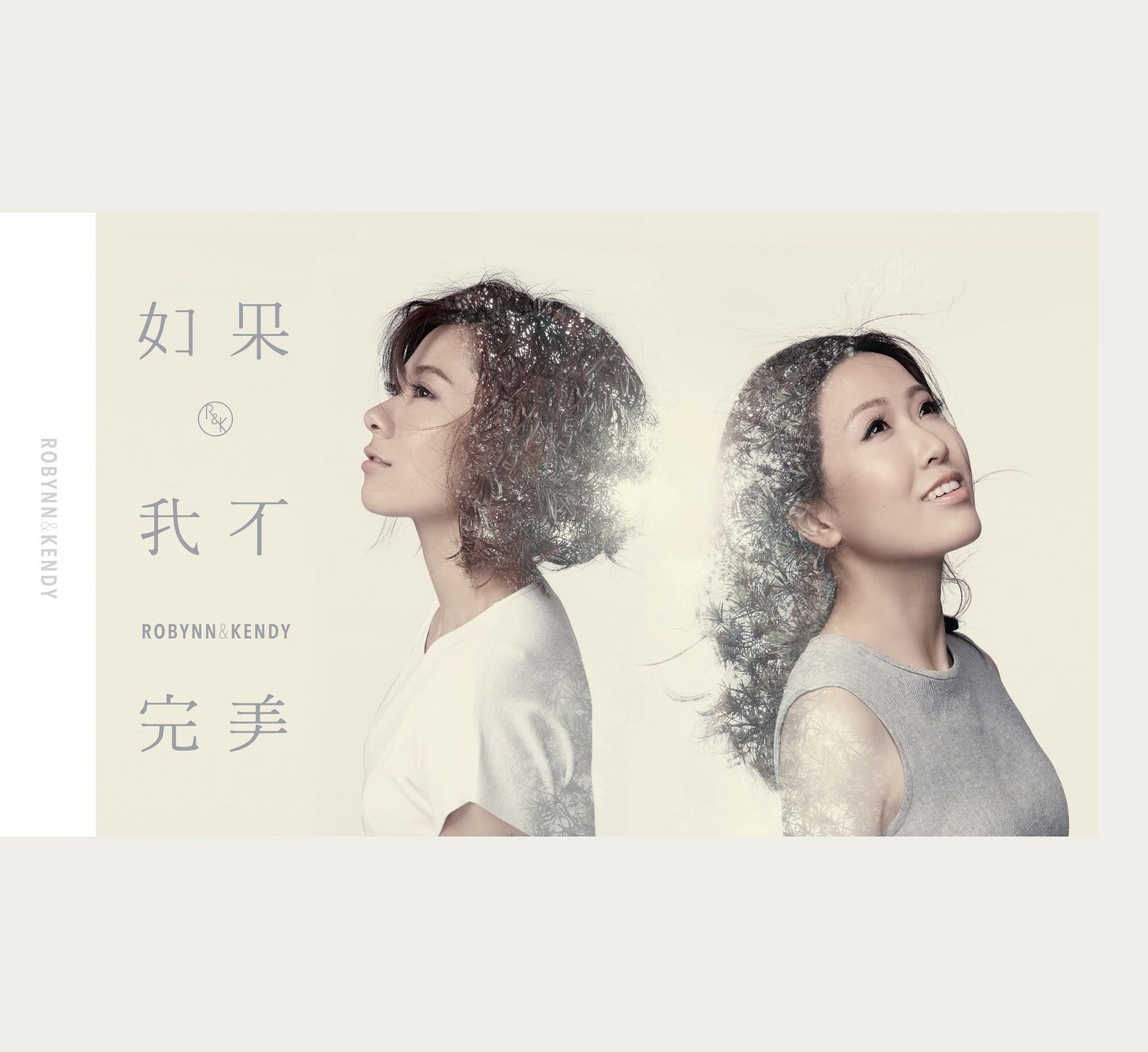 如果 我不完美 (CD + DVD)