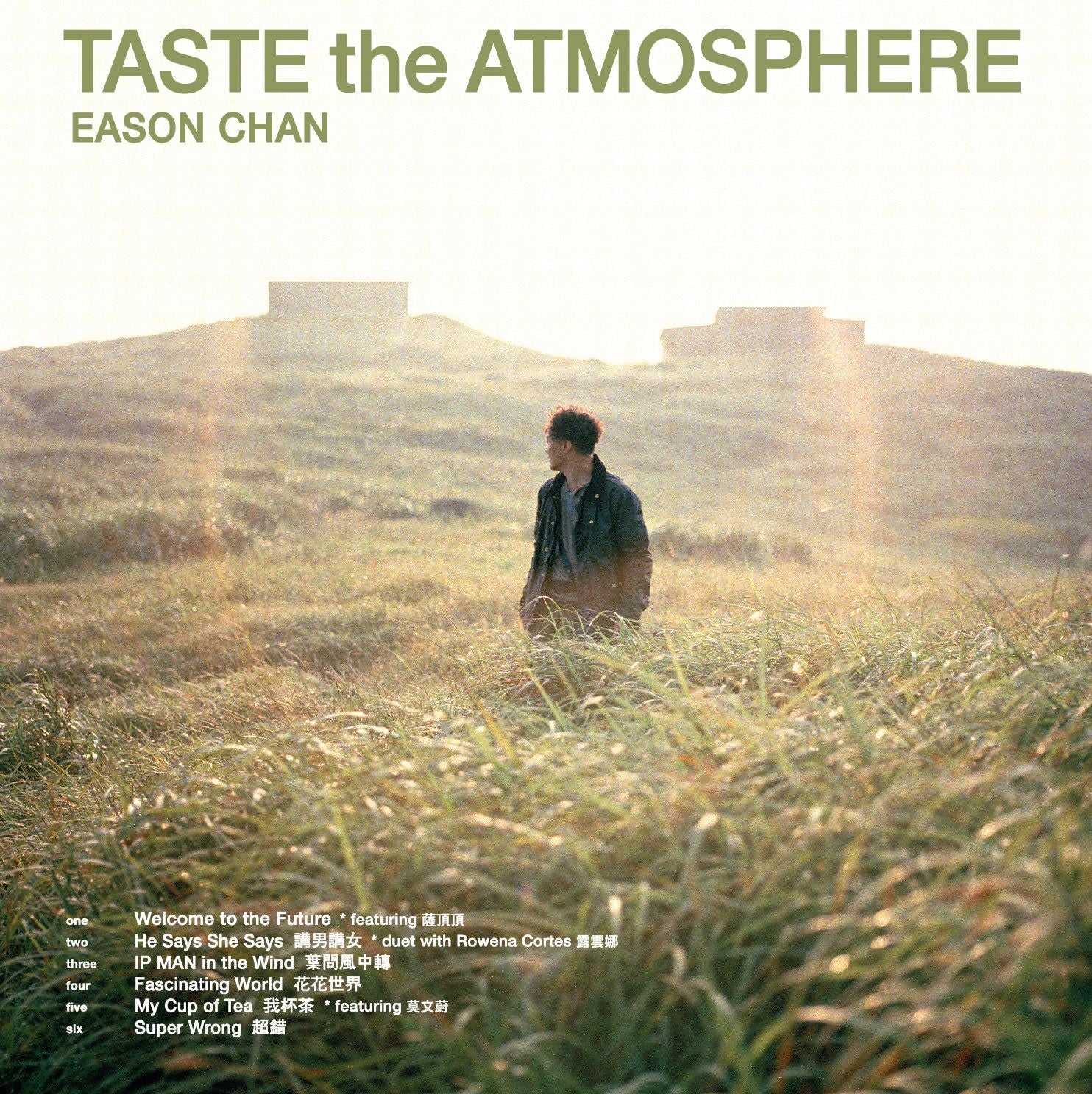Taste The Atmosphere / Stranger Under My Skin (2CD) (簡約再生系列)