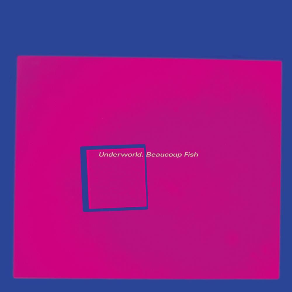 Beaucoup Fish (Deluxe 4CD+Book)