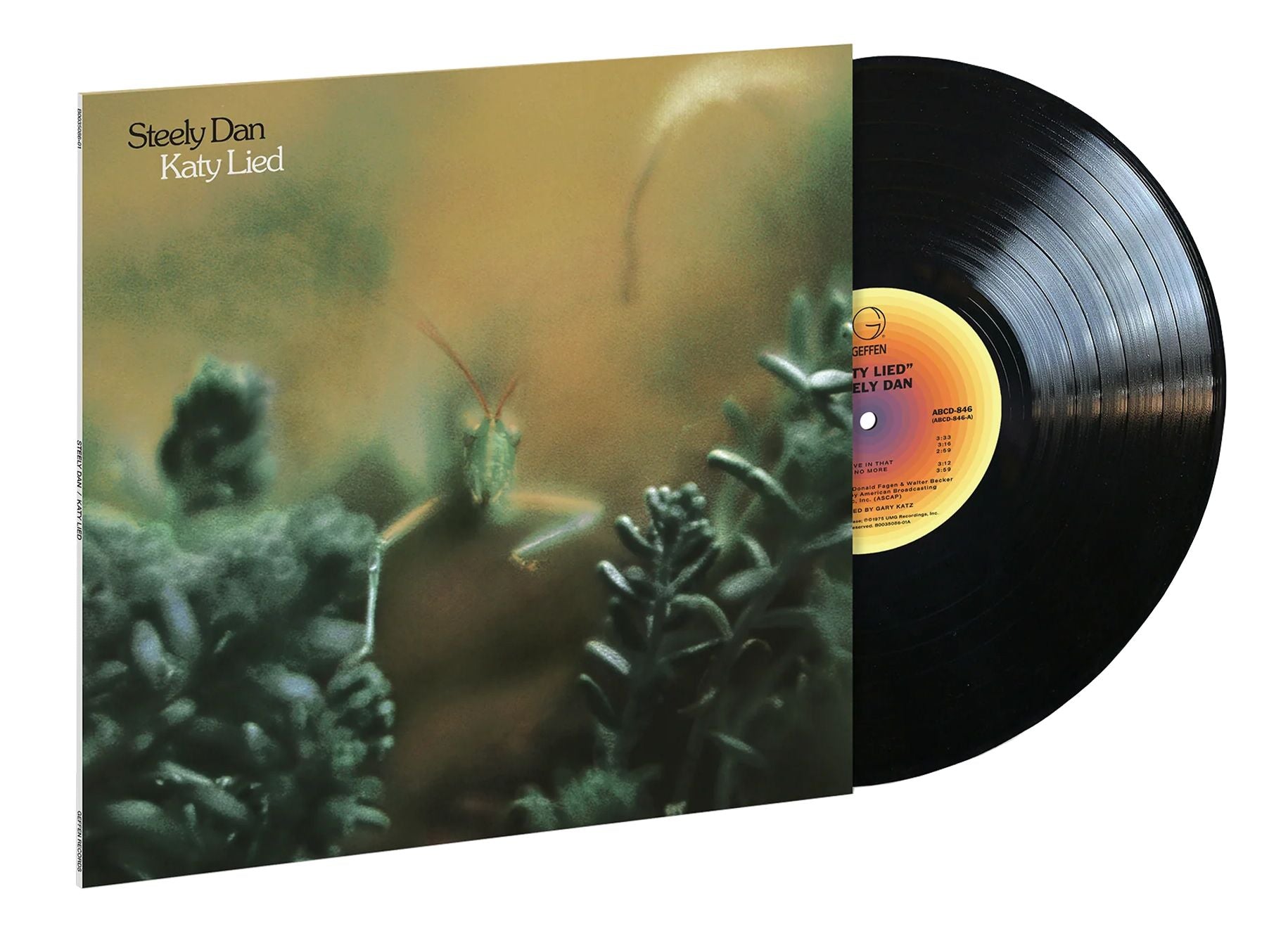 Katy Lied (Vinyl)