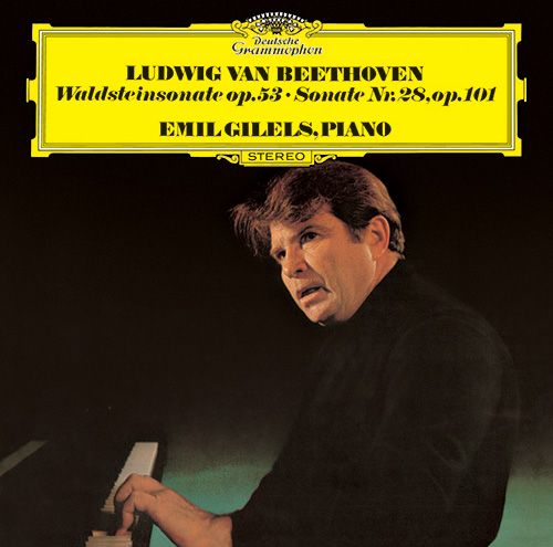 BEETHOVEN: Waldsteinsonate Op. 53, Sonate Nr. 28 Op. 101 (MQA-UHQCD) (日本進口版)