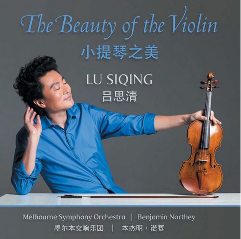 The Beauty Of The Violin