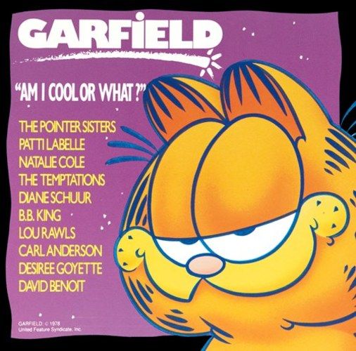 Garfield "Am I Cool Or What?" (日本進口版)