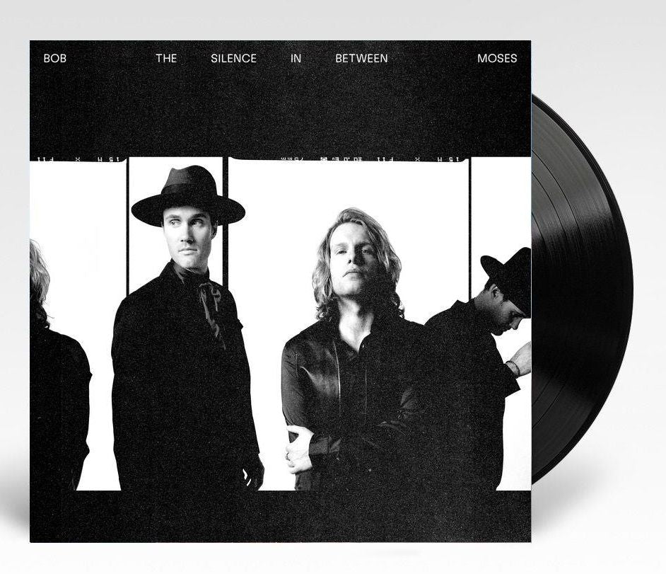 The Silence In Between (Vinyl)