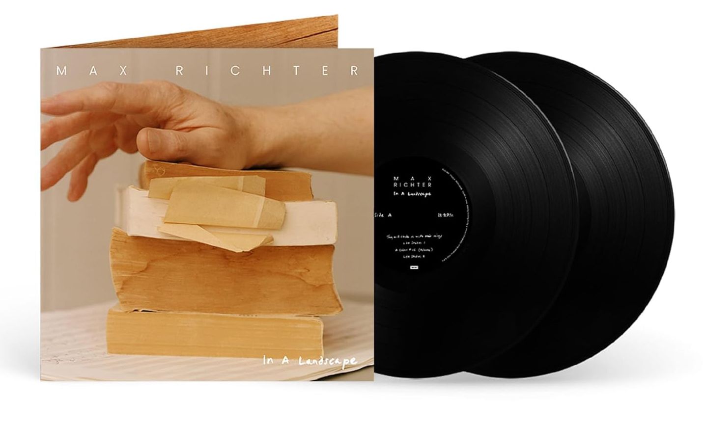 In A Landscape (2x Vinyl)