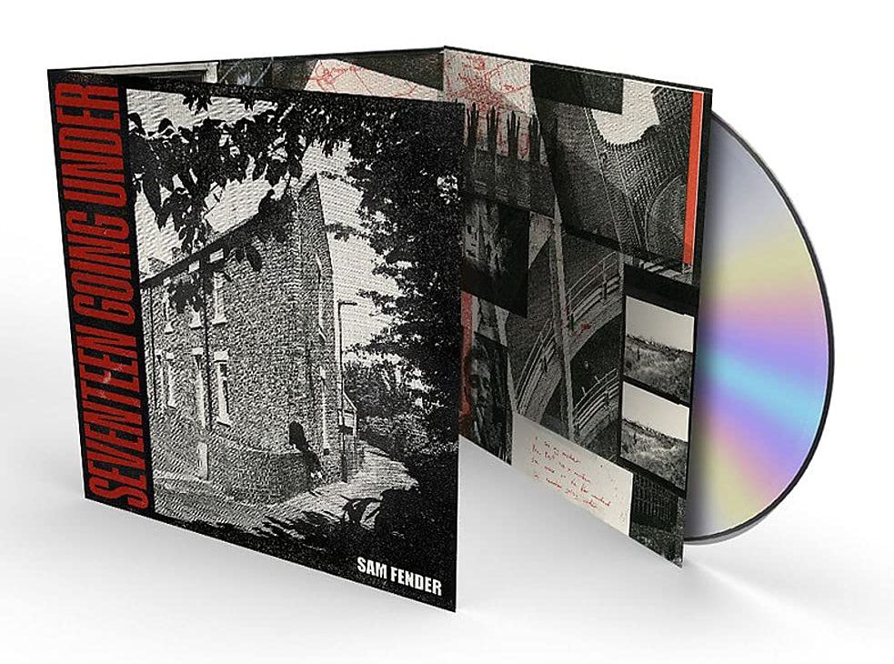 Seventeen Going Under