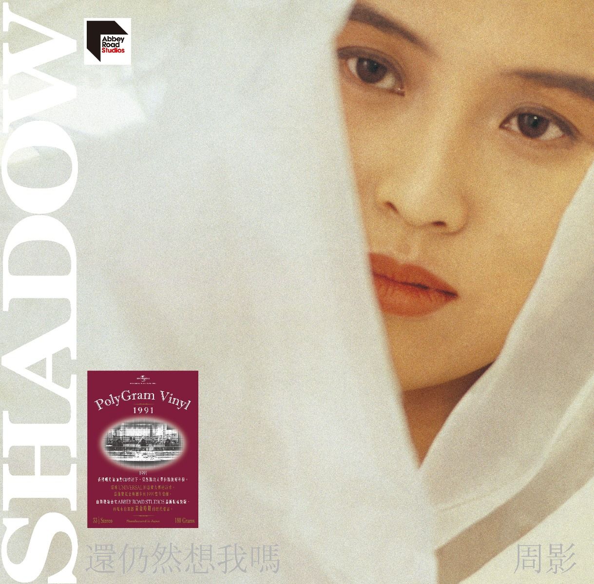 還仍然想我嗎 (ARS Vinyl)