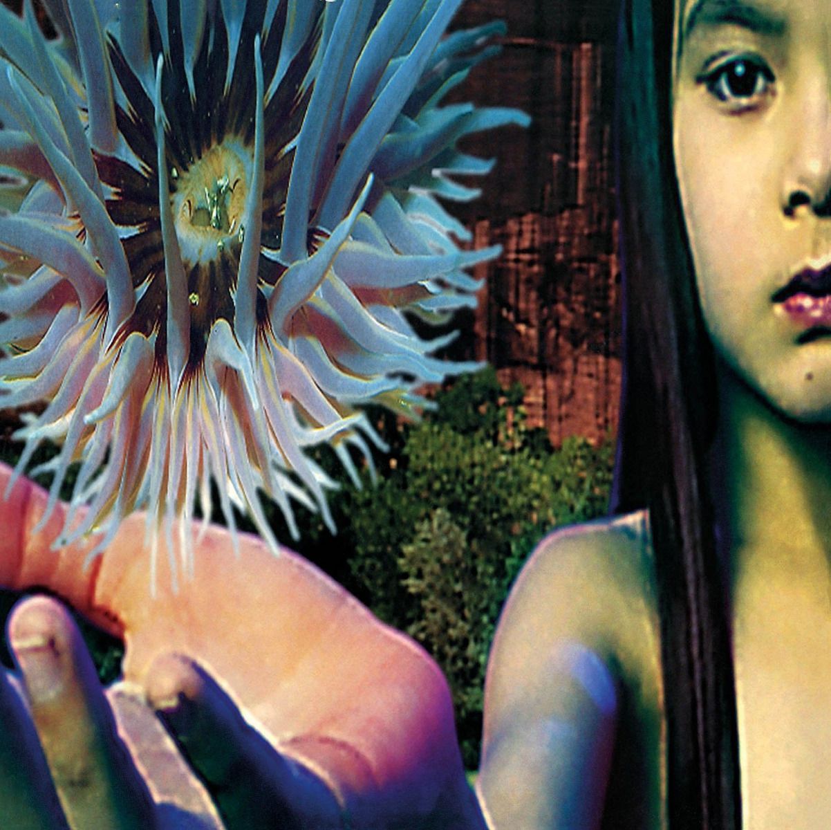 Lifeforms (2LP)