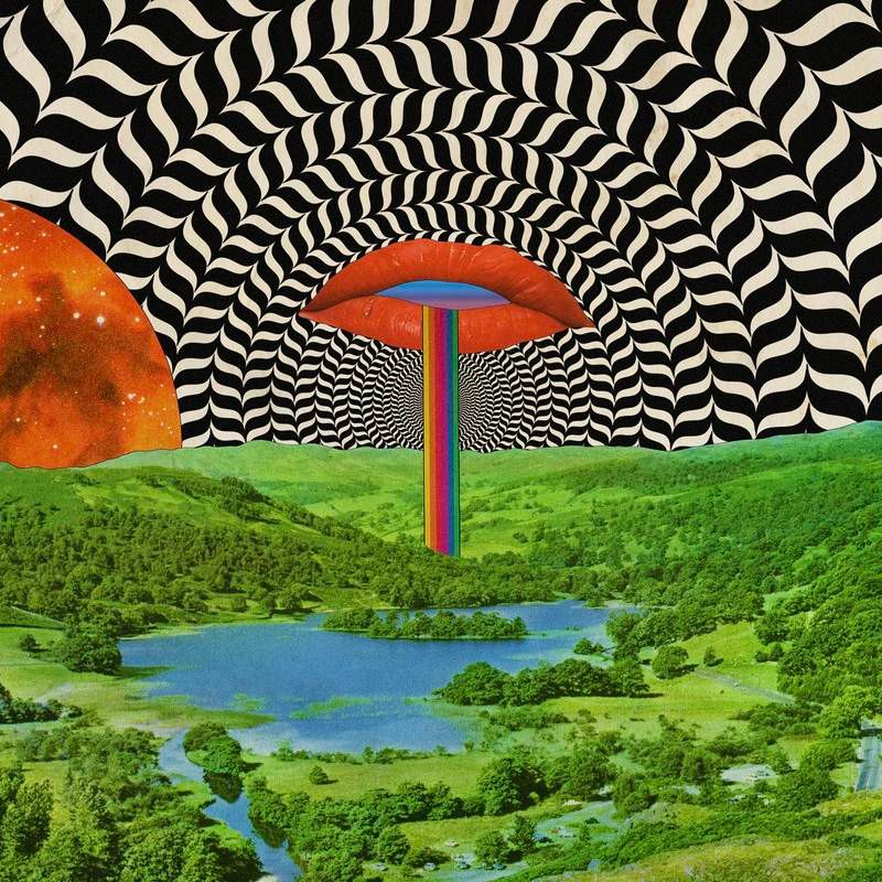 Jazz Dispensary: Dank D-Funk (Vinyl)