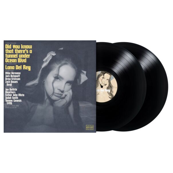 Did You Know That There's A Tunnel Under Ocean Blvd (2x Vinyl)