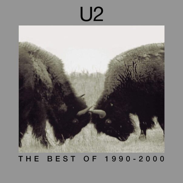 The Best Of 1990-2000 (2x Vinyl)