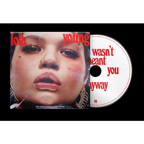 This Wasn't Meant For You Anyway