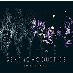 Psychoacoustics (Vinyl)