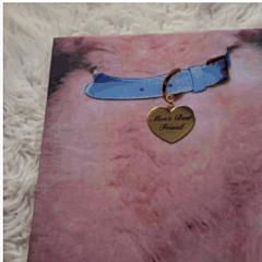 Man’s Best Friend Bonus Track LP 新品未開封 新品 Man's Best Friend Bonus Track LP Man's Best Friend