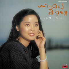 心にのこる夜の唄 (Vinyl) (日本進口版)