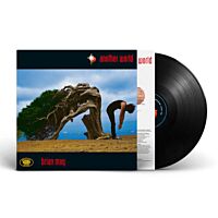 Another World (Vinyl)