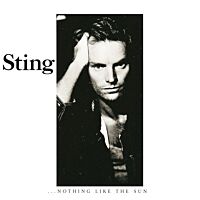 Nothing Like The Sun (2LP)