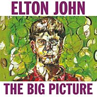 The Big Oicture (2x Vinyl)