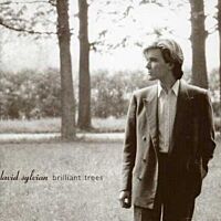 Brilliant Trees (Vinyl)