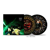 墮落天使 Fallen Angels WKW OST zoetrope vinyl picture LP